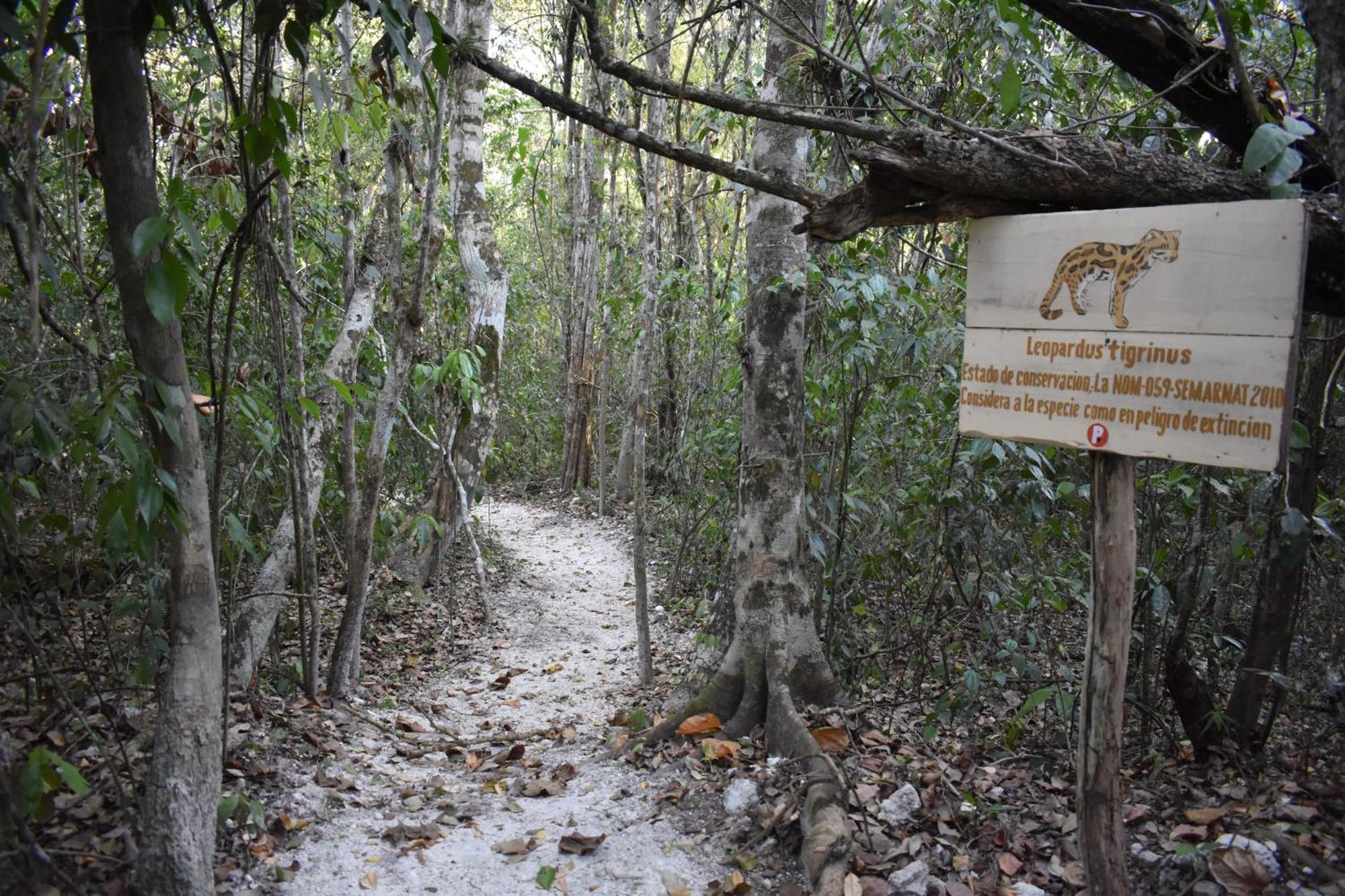Eco Aldea Kinich Ahau Lodge
