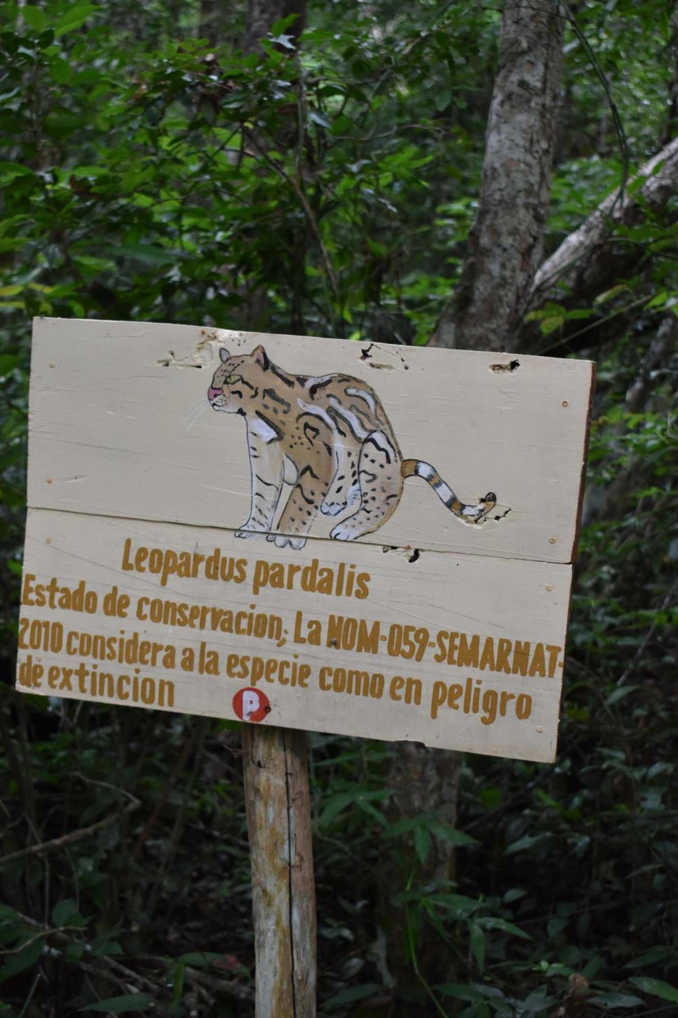 Eco Aldea Kinich Ahau Xpujil